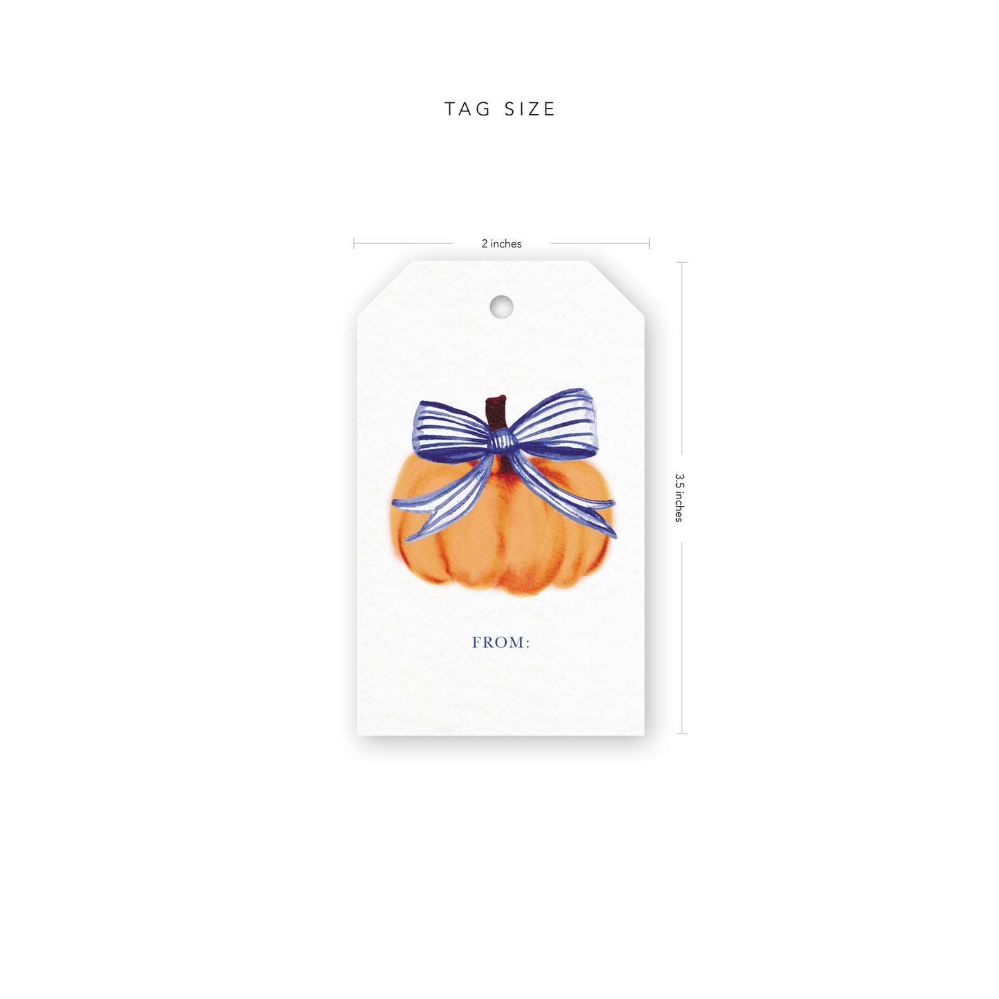 Pumpkin Bow Gift Tags