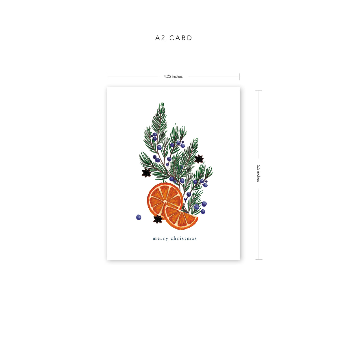 Holiday Juniper Card