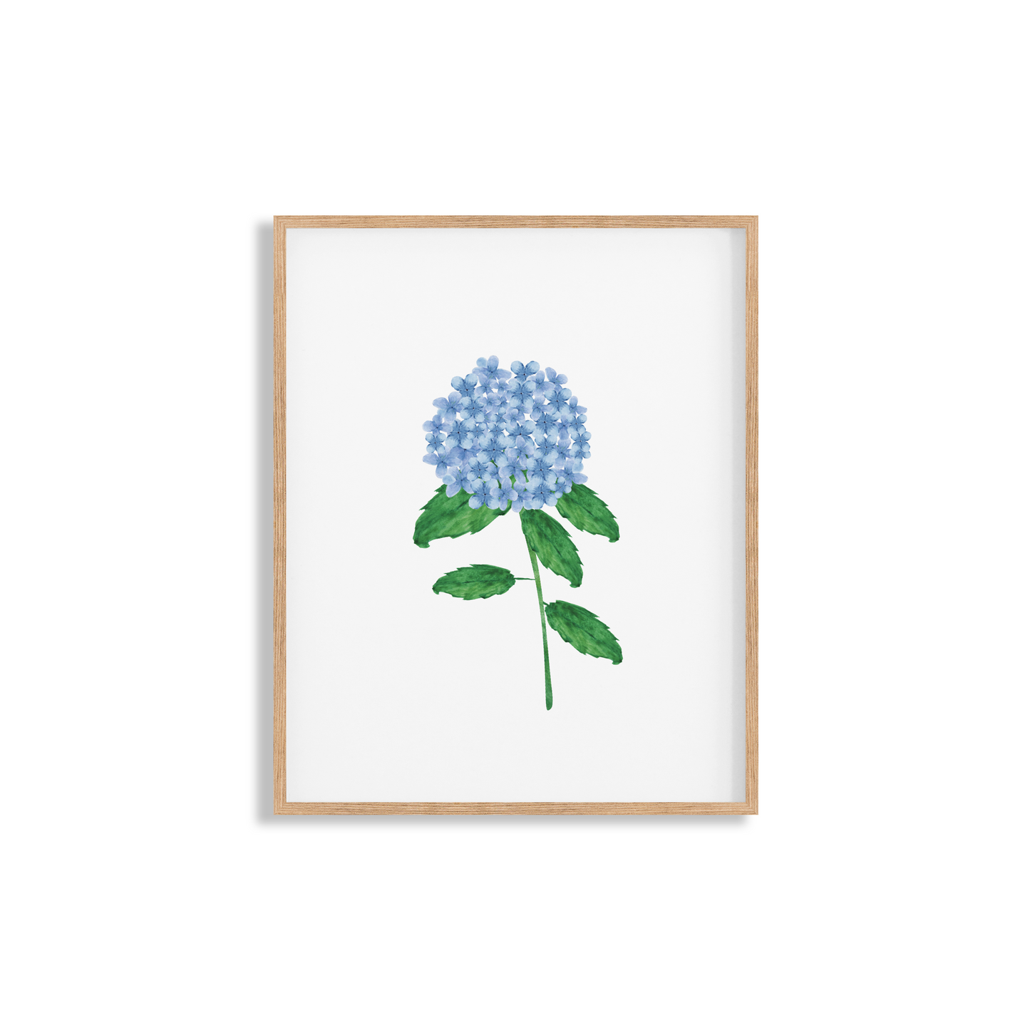 Hydrangea Stem Art Print