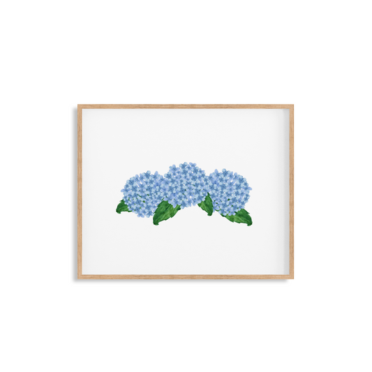 Hydrangea Bunch Art Print