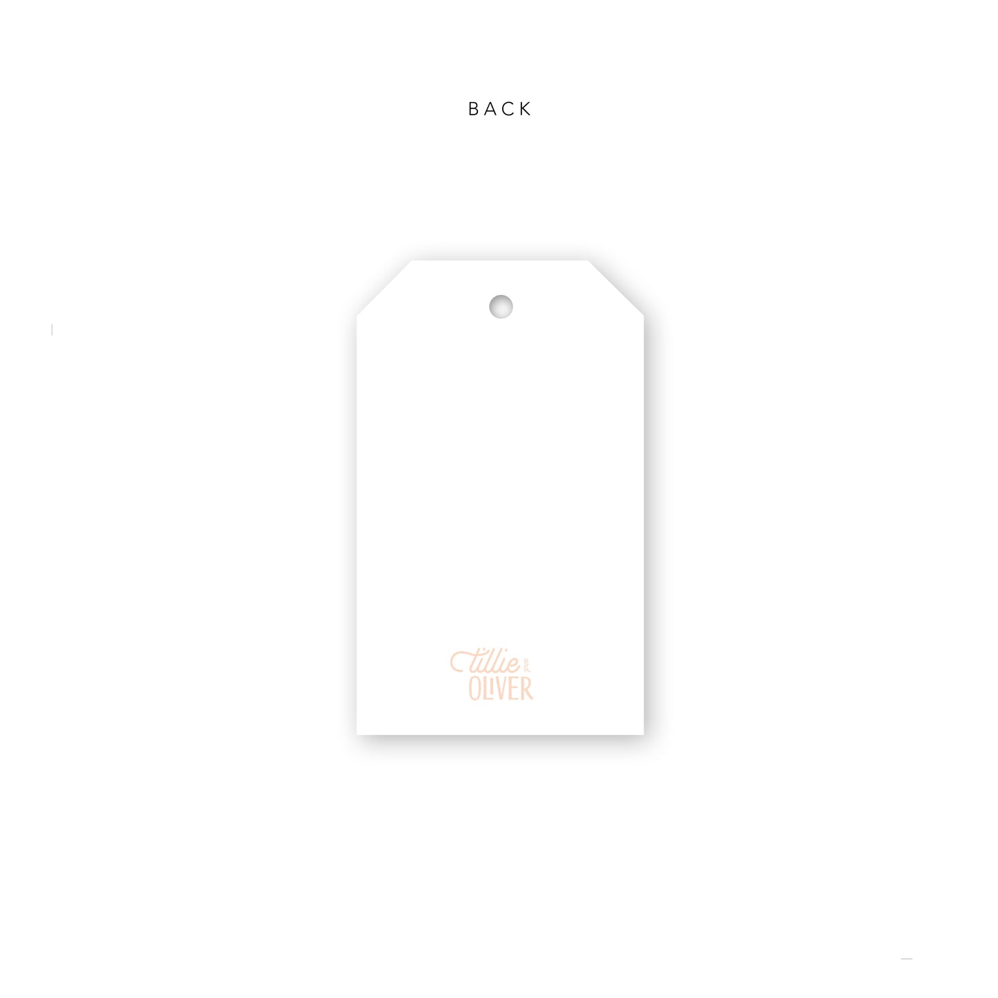 Cream Pumpkin Gift Tags