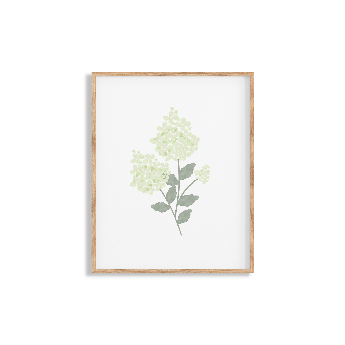 White Hydrangea Art Print